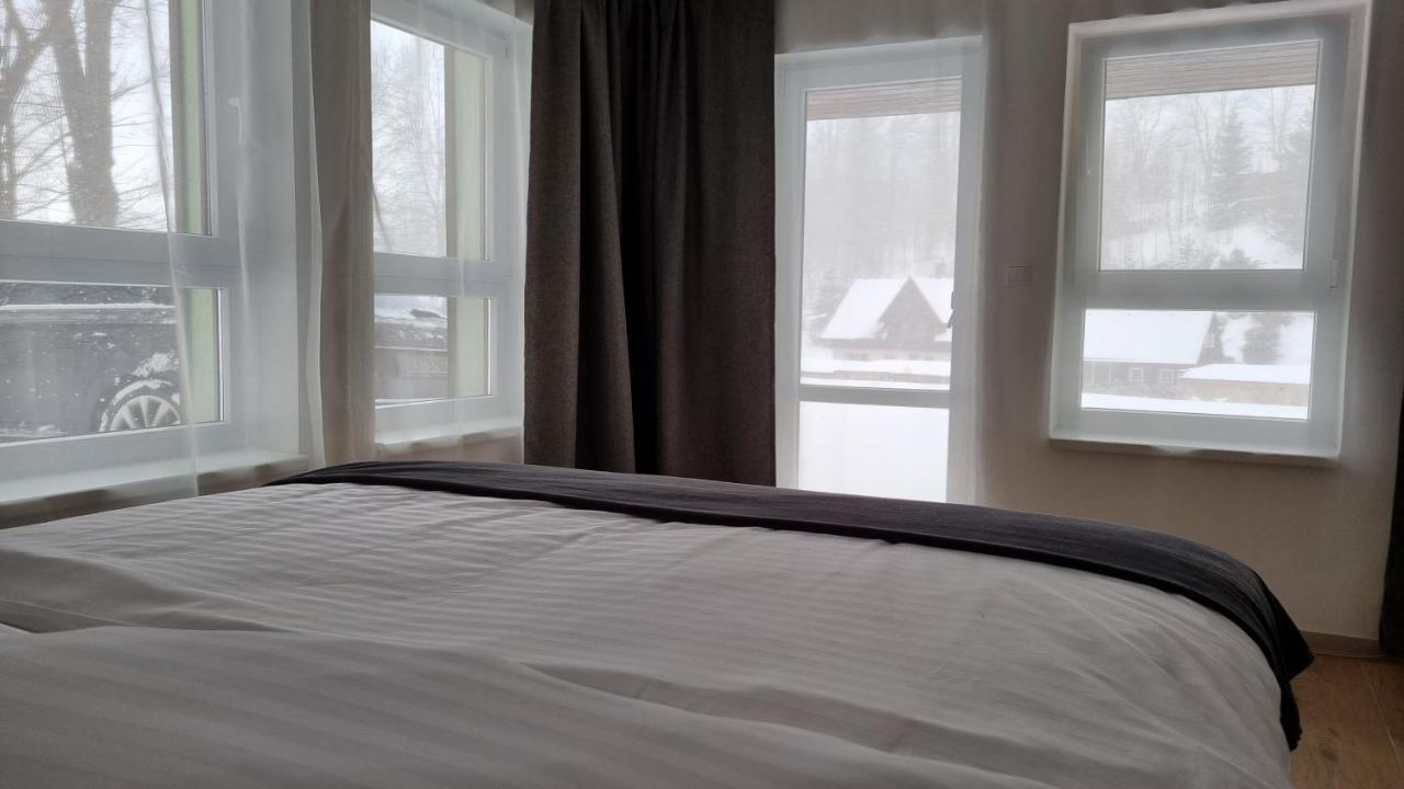 Mlynska Apartment Horni Marsov