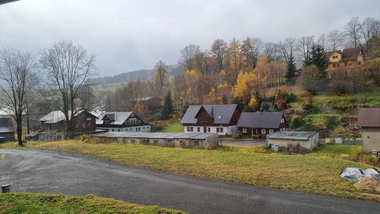 Apartment Mlynska