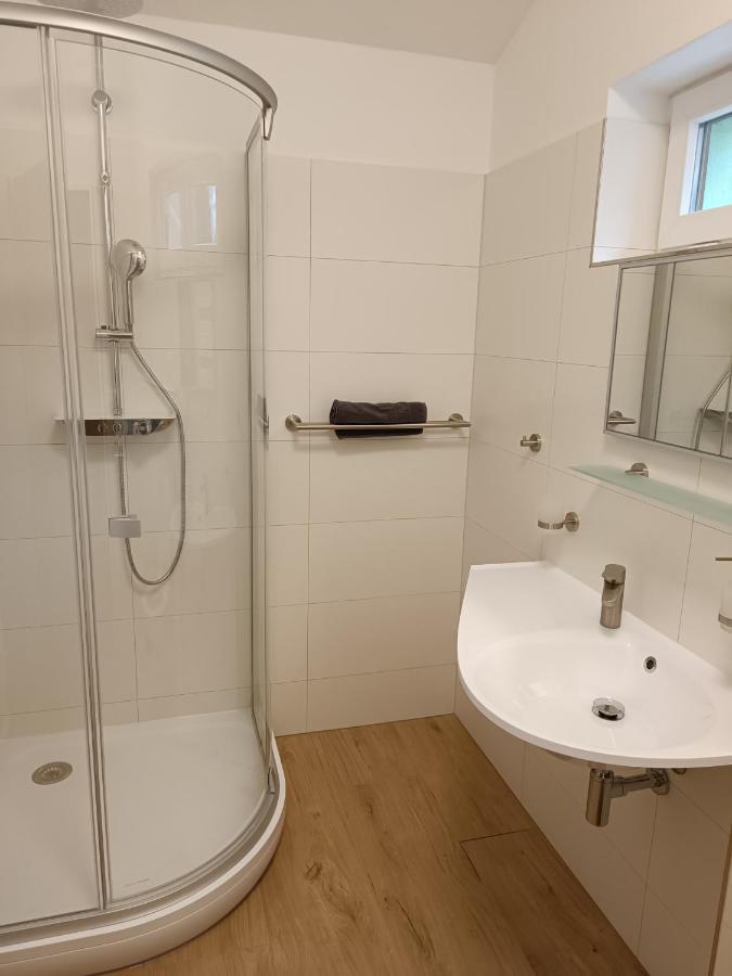 Mlynska Apartment Horni Marsov